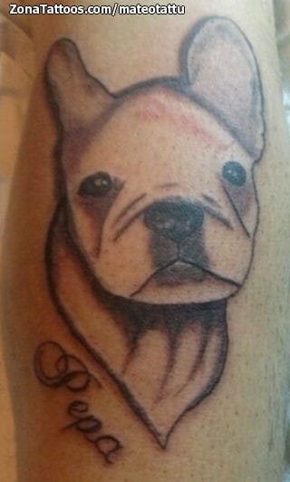 Tattoo photo Dogs, Animals