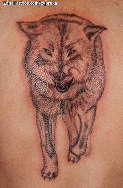 Foto de tatuaje Lobos, Animales