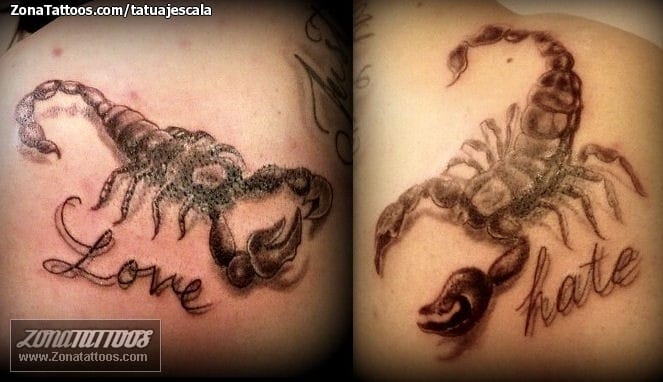 Tattoo photo Scorpions, Letters, Animals