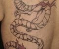 Tatuaje de willdelinares