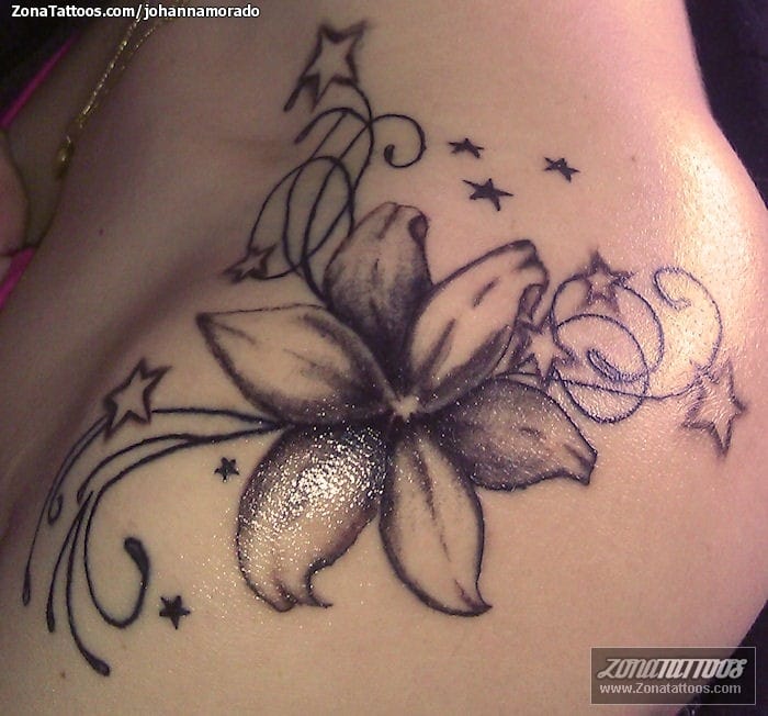 Foto de tatuaje Flores, Filigranas, Estrellas