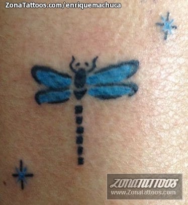 Tattoo photo Dragonflies, Insects