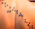 Tatuaje de davi6p