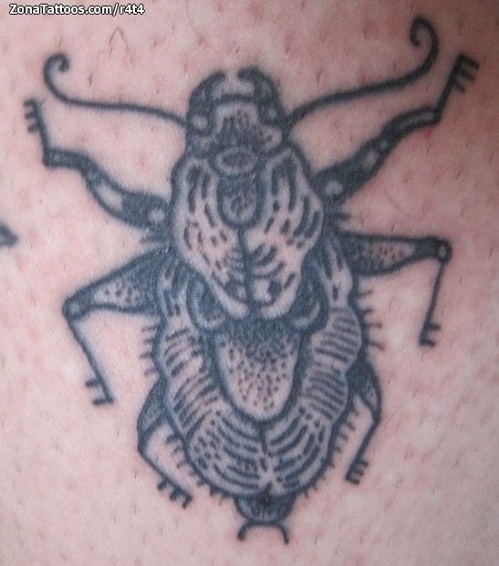 Foto de tatuaje Insectos, Puntillismo