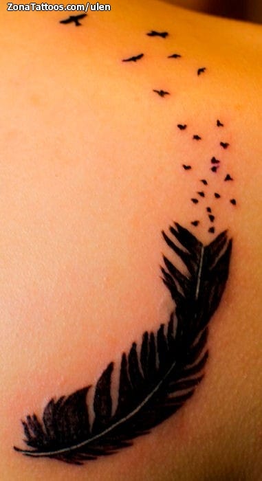 Foto de tatuaje Animales, Aves, Plumas