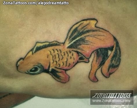 Foto de tatuaje Peces, Animales