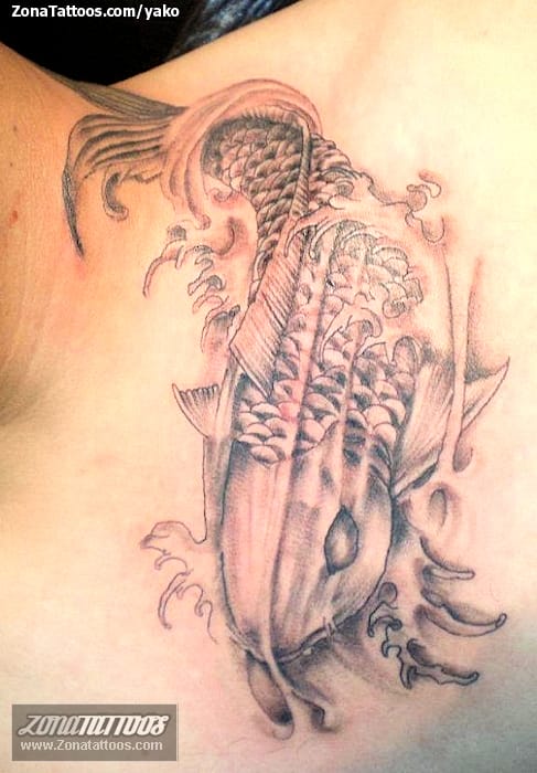 Tattoo photo Fish, Koi, Asian