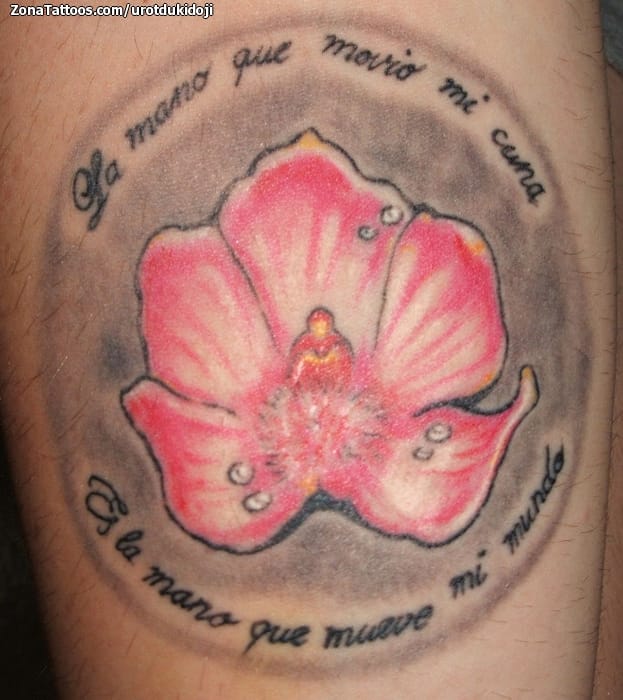 Foto de tatuaje Flores, Letras, Frases