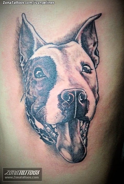 Tattoo photo Dogs, Animals