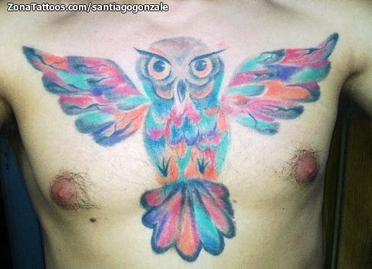 Foto de tatuaje Búhos, Aves, Animales