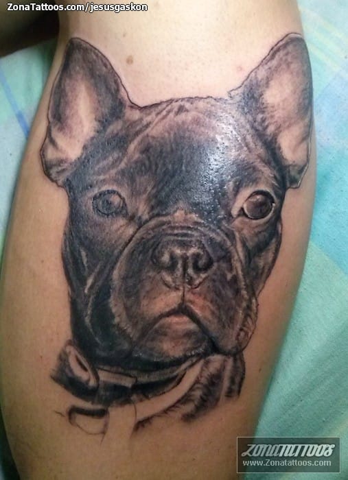 Tattoo photo Dogs, Animals