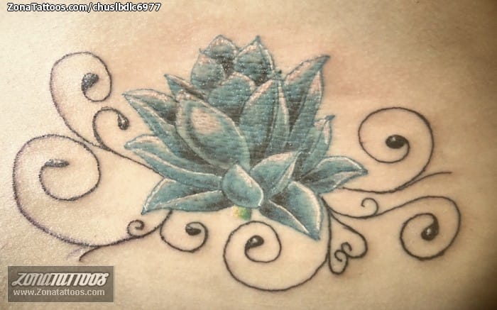 Foto de tatuaje Lotos, Flores, Filigranas