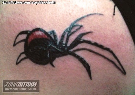 Foto de tatuaje Arañas, Insectos