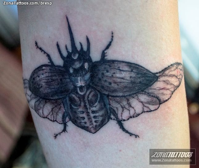 Foto de tatuaje Insectos