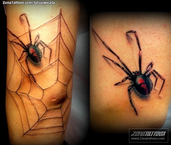 Tattoo photo Spiders, Cobwebs, Insects