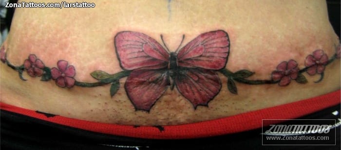 Tattoo photo Scars, Butterflies, Insects
