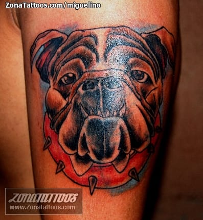 Foto de tatuaje Perros, Cover Up, Animales