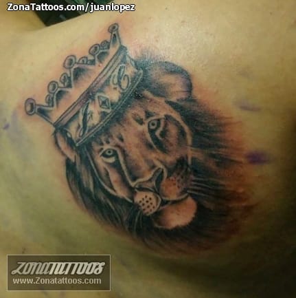 Tattoo photo Lion of Judah, Lions, Crowns