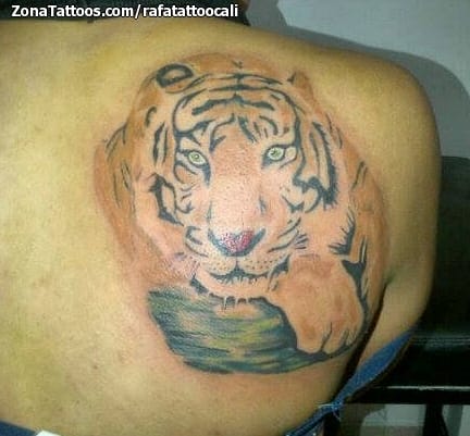 Foto de tatuaje Tigres, Animales, Omóplato