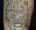 Tatuaje de Dani_Tattoo_Mlg