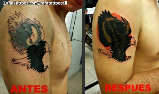 Foto de tatuaje Águilas, Aves, Animales