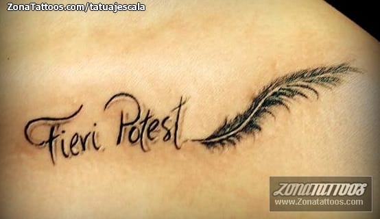 Foto de tatuaje Letras, Plumas, Frases