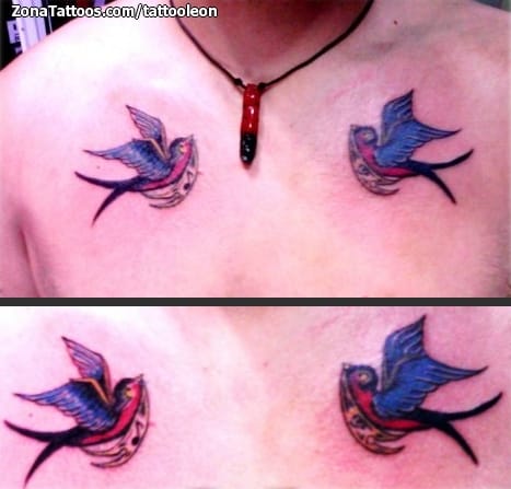 Foto de tatuaje Golondrinas, Aves, Animales