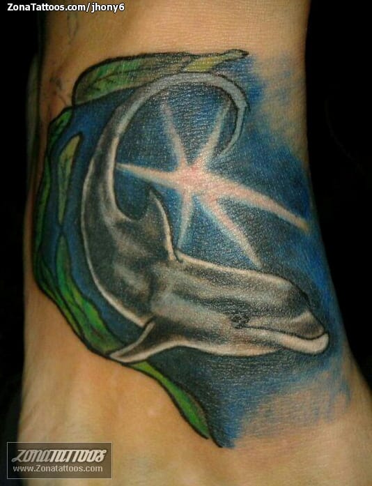 Tattoo photo Dolphins, Animals