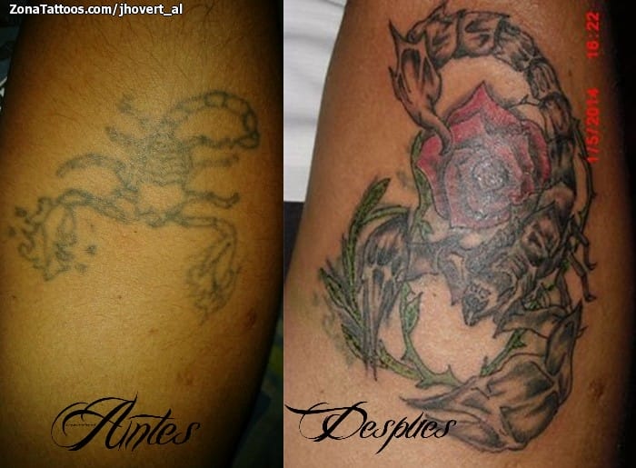 Tattoo photo Scorpions, Roses, Insects