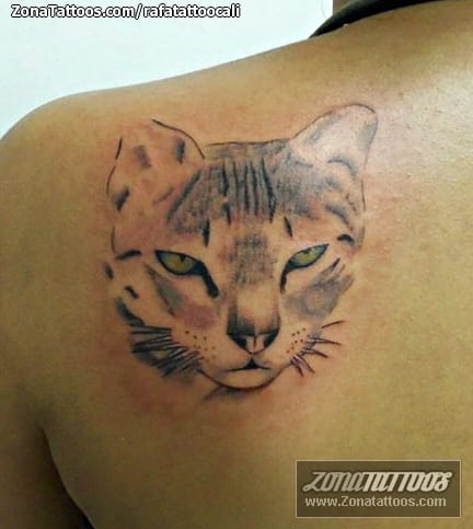 Foto de tatuaje Gatos, Animales, Omóplato