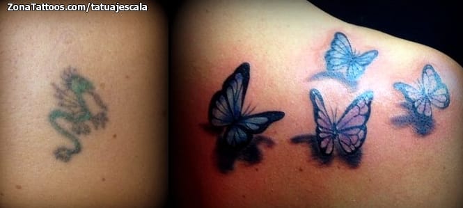 Foto de tatuaje Cover Up, Mariposas, Insectos