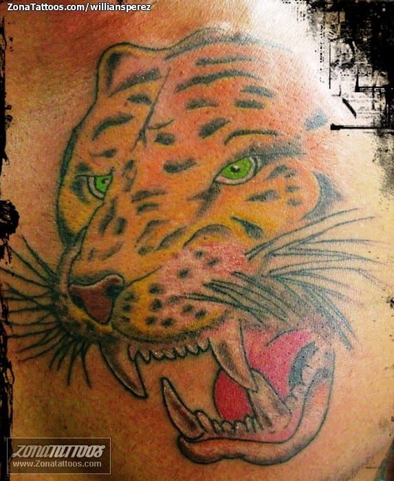 Foto de tatuaje Tigres, Animales, Pecho