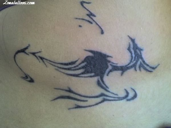 Foto de tatuaje Dragones