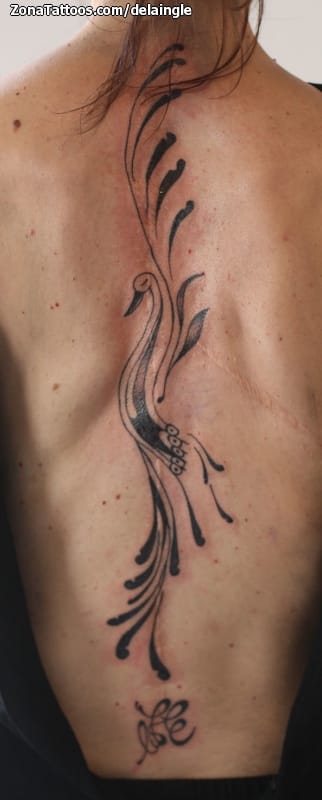 Foto de tatuaje Cisnes, Aves, Animales