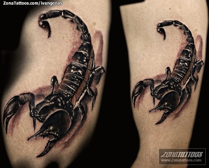 Tattoo photo Scorpions, Insects