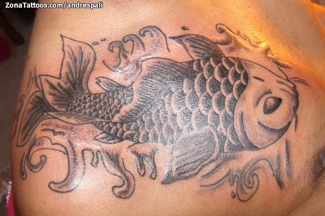 Foto de tatuaje Koi, Peces, Pecho