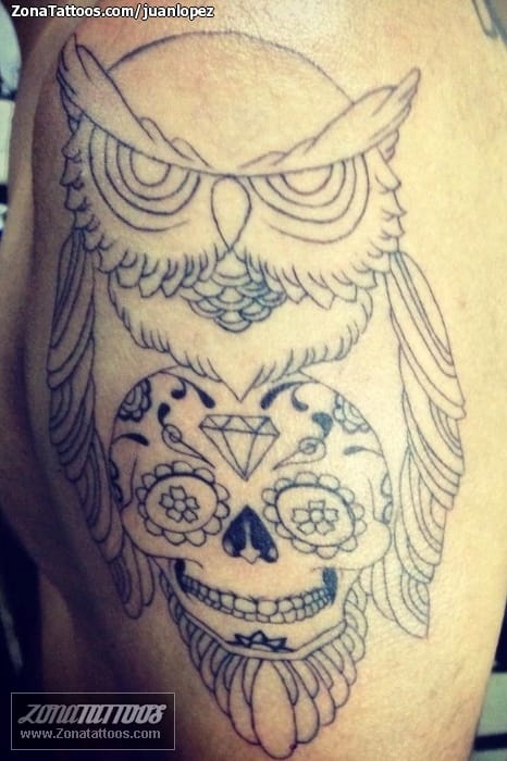 Tattoo photo Owls, Sugar Skull, Birds