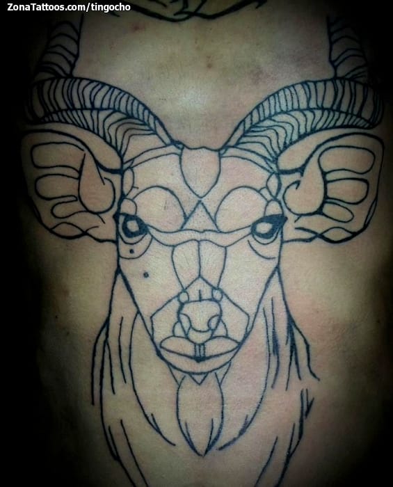 Tattoo photo Deers, Animals