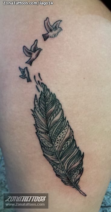 Tattoo photo Feathers, Birds