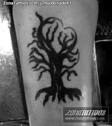 Tattoo photo Trees