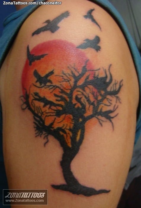 Tattoo photo Trees, Suns, Birds