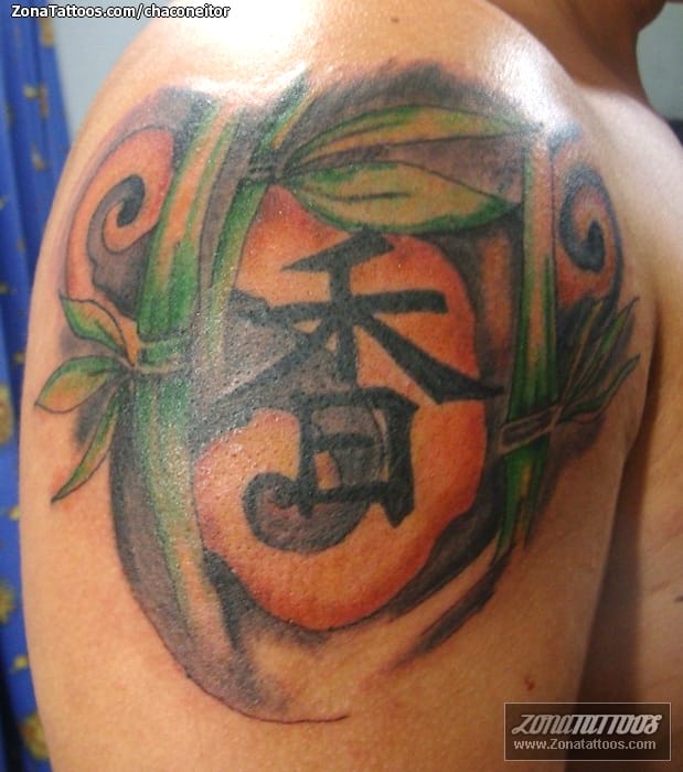 Foto de tatuaje Bambú, Orientales, Kanjis