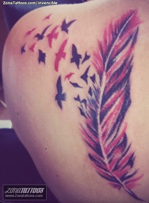 Foto de tatuaje Plumas, Aves