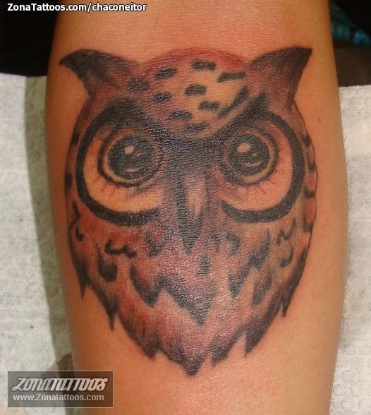 Tattoo photo Owls, Birds, Animals