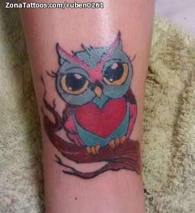 Foto de tatuaje Búhos, Animales, Aves