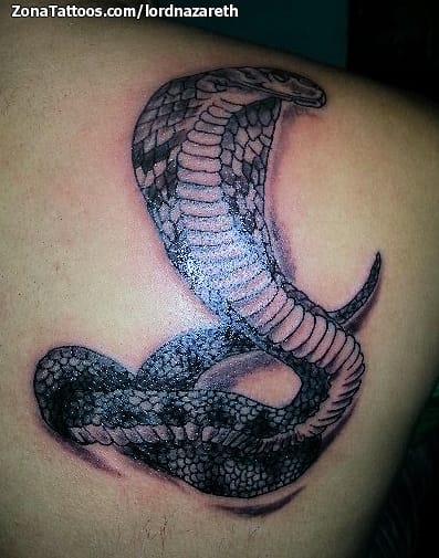 Tattoo photo Snakes, Animals