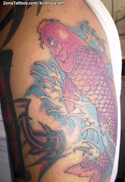 Foto de tatuaje Koi, Peces, Orientales