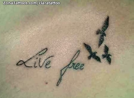 Foto de tatuaje Frases, Aves