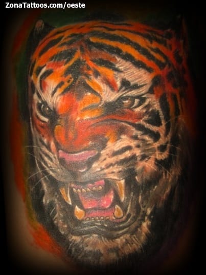 Tattoo photo Tigers, Animals