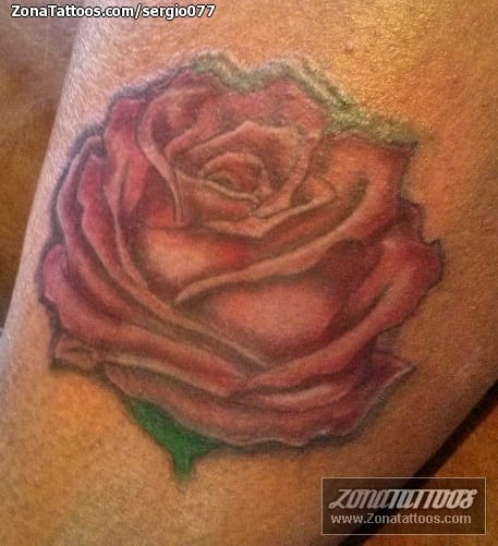 Tattoo photo Roses, Flowers